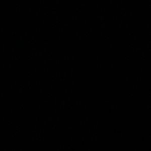 Meet your Posher, Anya